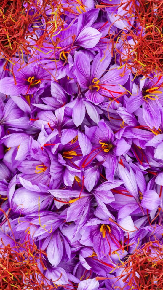 akawa restaurant abu dhabi bab al nojoum hudayriyat